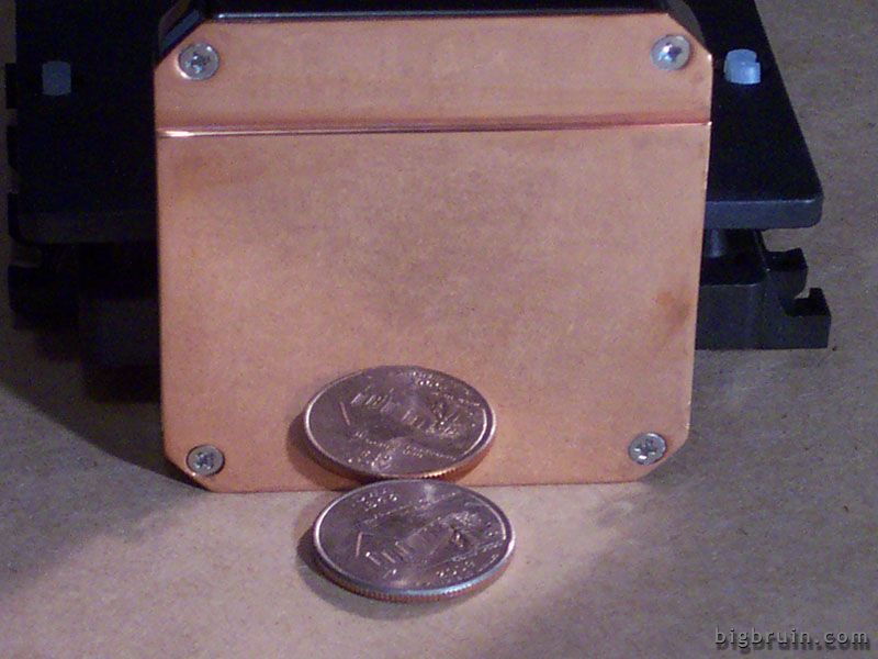 pic16.jpg